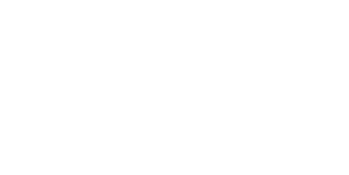 Seals Image